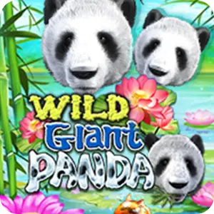 Wild Giant Panda