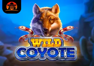 Wild Coyote