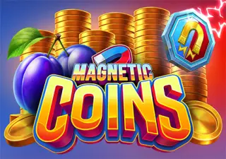 Magnetic Coins
