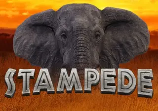 Stampede