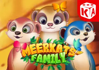 Meerkats Family