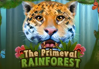 The Primeval Rain forest