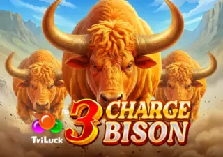 3 Charge Bison