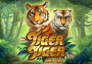 Tiger Tiger Wild Life