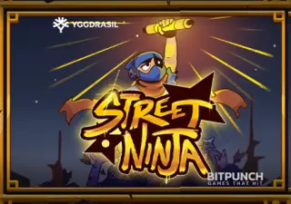 Street Ninja