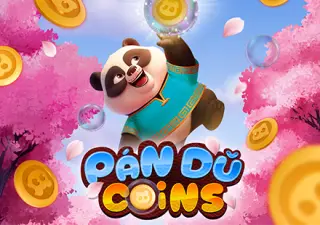 Pan Du Coins