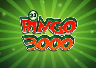 23 Bingo 3000