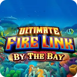 Ultimate Fire Link By The Bay